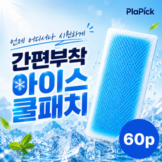 플라픽 시원한 쿨패치 이마 쿨링 냉각, 6세트