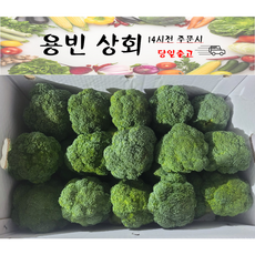 ( 용빈 상회 ) 국내산 햇 브로콜리 브로컬리 브로코리 1kg 2kg 3kg 8kg내외, 1박스