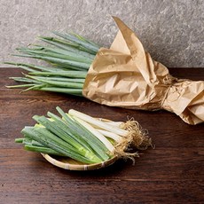 흙대파 국내산 당일수확 산지직송 가정용 업소용 식자재 구이용, 2kg, 1개