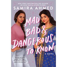 Mad Bad & Dangerous to Know Paperback, Soho Teen, English, 9781641292313