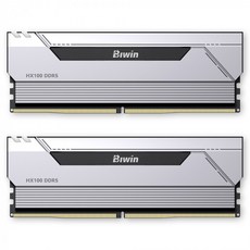 BIWIN BIWIN DDR5-6000 CL28 HX100 실버 패키지 (48GB(24Gx2))