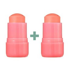 네이처리퍼블릭 멜팅 스틱, 1개, 1+1 (쉐딩) 애쉬진저