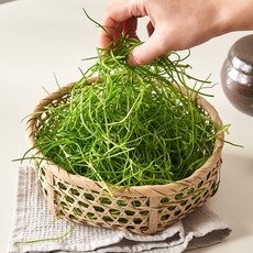 국내산 세발나물 갯나물 제철 봄나물, 1개, 200g