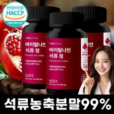 석류정 석류농축 99% 추출물 웰큐미업, 3개, 90정