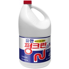 펑크린 배수구세정제, 4L, 1개