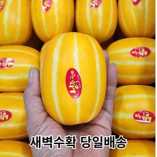 [산지직송 당도선별] 성주 꿀 참외 [혼합/꼬마/중과/대과] 선물용 로얄과 2kg 3kg 5kg 10kg, 1개, 02. 혼합 3kg