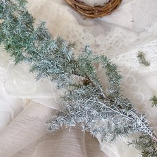 大地農園 聖誕花圈材料包 含松果諾貝松葉材 DIY裝飾, 雪花款s,乾燥款微會掉葉正常、如影片圖片示意, 1個
