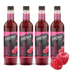 DaVinci Gourmet 클래식 블루 라즈베리 75.4 ml(25.4 액량 온스) (1팩), Raspberry, 25.40 Fl Oz (Pack of 4), 1개, 750ml