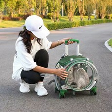 강아지가방 이동가방 이동장 동물 케이지 투명 애완 애견 트롤리 백팩 캐리어, A. 투명 녹색 백팩 트롤리