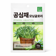 공심채 씨앗 200립 약10g 베트남 모닝글로리 종자 씨 라우무옹 종자 씨 동남아 채소씨앗, 1개