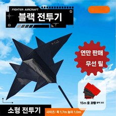 비행기 연 어른 전용 고급 대형 특대형 사이즈 웨이팡 성인 전문급, 트럼펫 전투기(15m 빨/검)