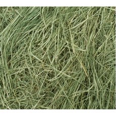 寵物牧草, 1個, 百慕達1公斤