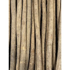 국내산 안동 햇 우엉 (특), 1개, 2kg