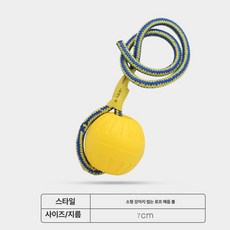 대형견 금모견 물놀이 물고기 공 물고기볼 내구성 강한 반려견 장난감, 1개, [3세대] 소형 고무 강아지 물림줄