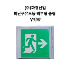 토탈소방안전 피난구유도등 벽부형 중형 (주)화경산업, 우방향, 1개