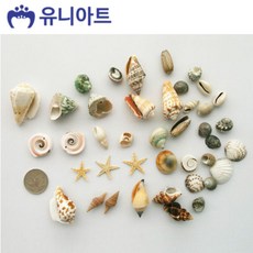 유니아트 5000통 만들기 조개세트 (모양랜덤) (P0000CFL)