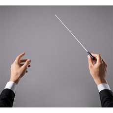 올데이픽 입문용 지휘봉 케이스 세트 오케스트라소품, 레드