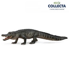 컬렉타 미국 악어 88609, 1개