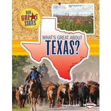 What's Great about Texas? Library Binding, Lerner Publications (Tm)