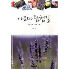 아로마 탐험길 : 개권일락, 글로벌콘텐츠, 이동선 저