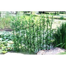 [신생CMS] 호가 인조 대나무 조화 (1m 1.5m 2m 2.5m 3m) 대나무조화 잎, 10개, 대나무 조화 1m