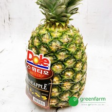 파인애플 1통(약2kg), 1개, 2kg 내외