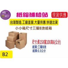 小尺寸寄件小紙箱15X10X6公分三層B浪牛皮, 1個, 1個
