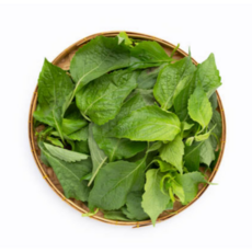 [굿피플] 바라깻잎 국산깻잎 깻잎나물 깻잎바라 [바라깻잎], 1박스, 1kg