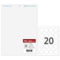 프로라벨 23종 A4 100매(벌크) 1팩 물류용 분류표기 라벨지, 20칸 CL1020