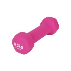 모아올림 운동 덤벨 0.5Kg 육각아령