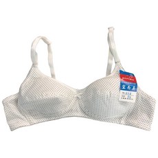 A&J #315 學生少女內衣 無鋼圈無海綿 A罩杯 棉質 普普風點點內衣