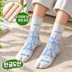 벨라룸 한글도안 풋테라피 발 마사지 발바닥 지압 양말 효도 선물, S (225~245mm), 1개