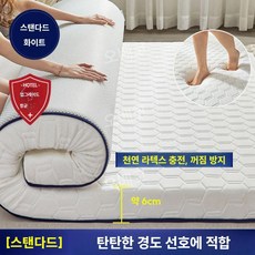 라텍스토퍼 바닥매트리스 거실 원룸 기숙사 손님용 다다미 싱글 자취방