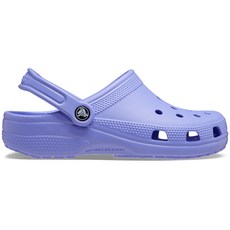 Crocs 常見經典木屐紫 (10001_5PY), M4W6, 紫色