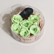 화연양화 미니장미 6개입 프리저브드플라워 시들지않는생화, 08 페일그린