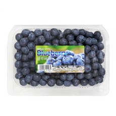 코스트코 블루베리 500g
