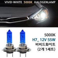 5000K 비비드화이트 현대 신형에쿠스 09-15년 전조등 상향등 하향등 안개등 자동차램프, 5000K 신형에쿠스 상향등 H7(2개1세트), 1세트