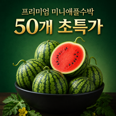 [첫수확 특가] 작아서 더 달콤한 고당도 미니 애플수박 산지직송, 1박스, 애플수박 1통 (700g~900g)