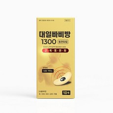 대일빠삐방 동전파스 1300 10매, 1개