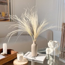 스티파 베이지 프리저브드 드라이플라워 1줄