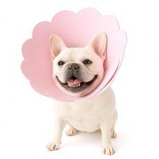 강아지 깔대기 목보호대 고양이 부드러운 EVA 보호 넥카라, 1개, 핑크