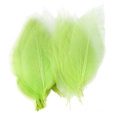 shangren 4-6pack 50Pcs Natural Catbrier Skeleton Leaf Leaves Card 스크랩북 - Green, 꽃