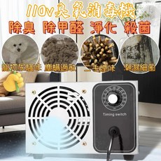 臭氧消毒機 家用殺菌除臭 空氣淨化器 車用辦公室空間除味 異味消除器 臭氧發生器, 1個, 升級款臭氧消毒機,32g