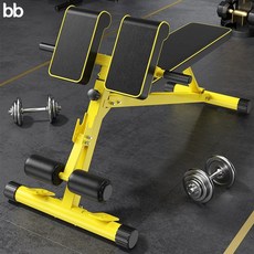 로만체어 백익스텐션 운동 기구 복근 헬스장 복부 기립근 강화 다기능 벤치 홈트 덤벨 등, 확장형