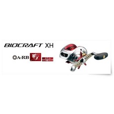 SHIMANO BIOCRAFT 300XH 船釣兩軸捲線器