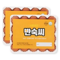 [YJ푸드]노른자까지 간이 배인 반숙씨 영양간식 반숙란 영양만점 삶은계란, 20구, 2개