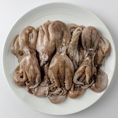 생물쭈꾸미 단백질식단 산지직송 서해안쭈꾸미 철 1kg 자연산 생쭈꾸미