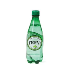 트레비 라임 500ml 롯데칠성음료, 본상품