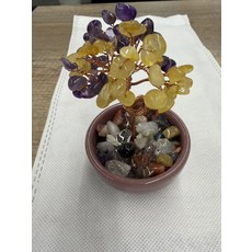 微型水晶樹, 黃紫色