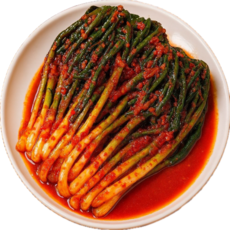 [당일제조] 국내산 매운실비파김치, 1개, 1kg